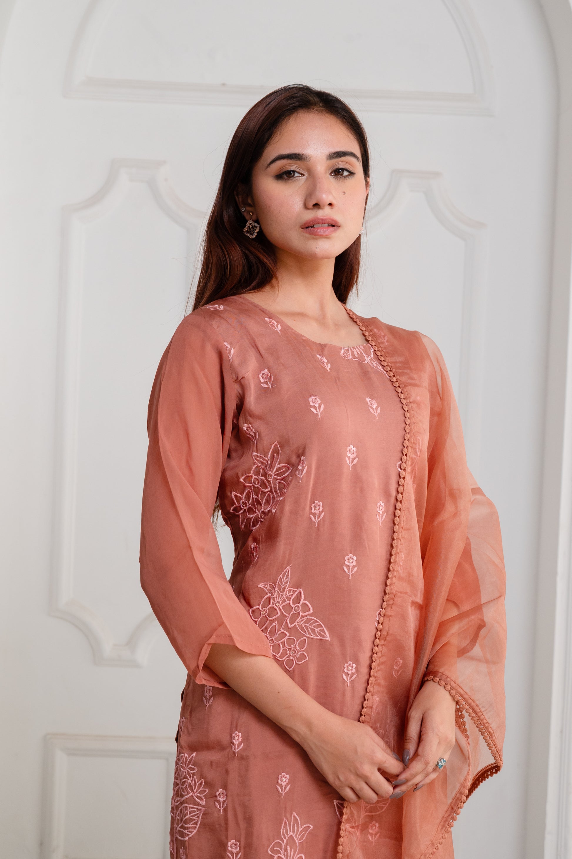 Rustic Brown Organza Embroidered Suit Set