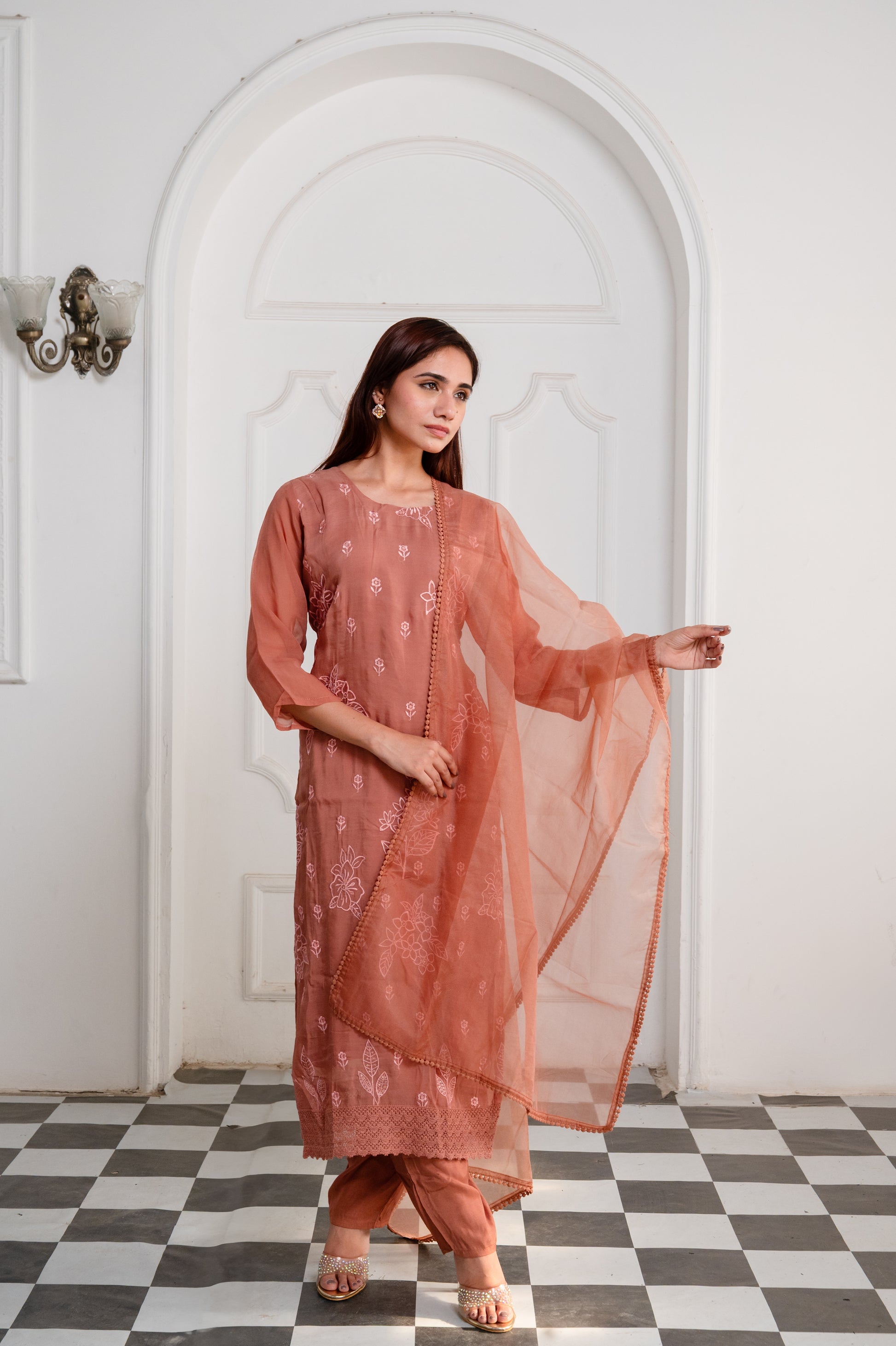 Rustic Brown Organza Embroidered Suit Set